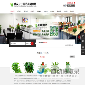 武汉花卉租赁绿植租摆武汉办公绿植租赁，武汉室内盆栽租摆，武汉绿植花卉销售，武汉室内鲜花绿植